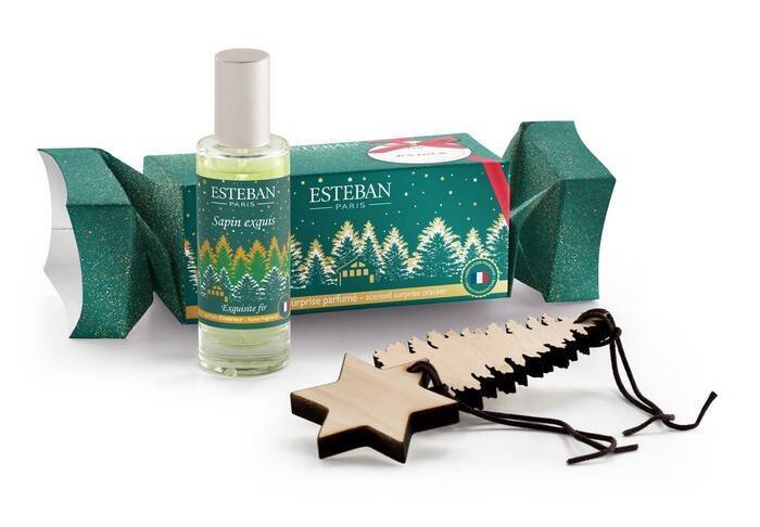 Esteban - Zestaw zapachowy spray+2zawieszki Exquisite Fir